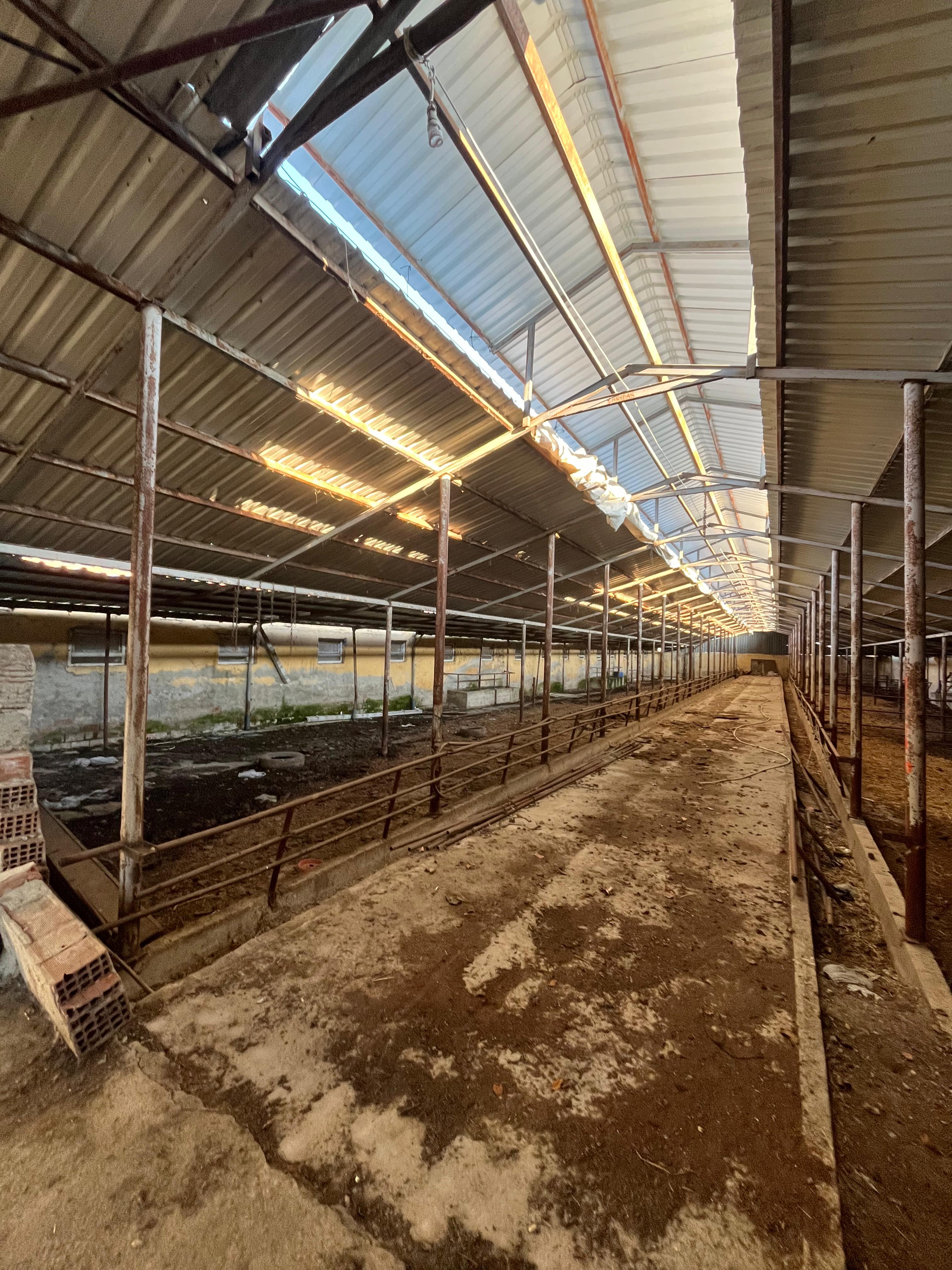 MABEL'DEN KURULU DÜZEN BESİ ÇİFTLİĞİ